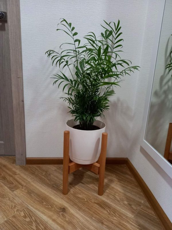 Plant stands H